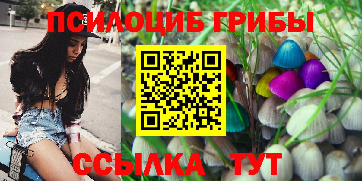 Псилоцибиновые грибы Cubensis  Вход с VPN  Ревда  Галлюциногенные грибы мицелий 