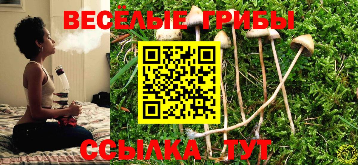 Псилоцибиновые грибы прущие грибы Ревда